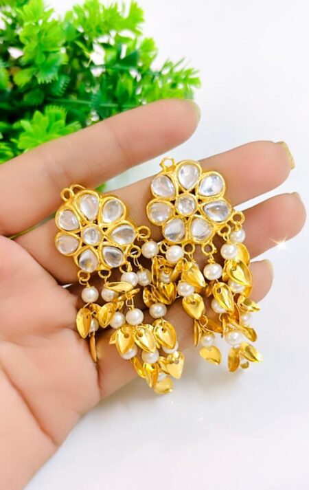 Beautiful Grape Long Earrings (Pack of 1) SR_3598