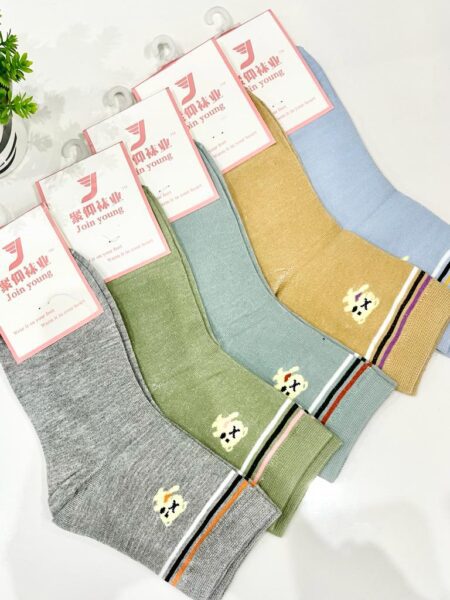 Winter Womenâ€™s Long Length Socks In Random Color (Pack of 5) SR_3723