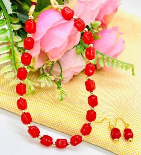 Beautiful Bead Choker With Earring SR_5055