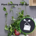 Plant clips1