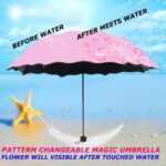 Magic Umbrella2