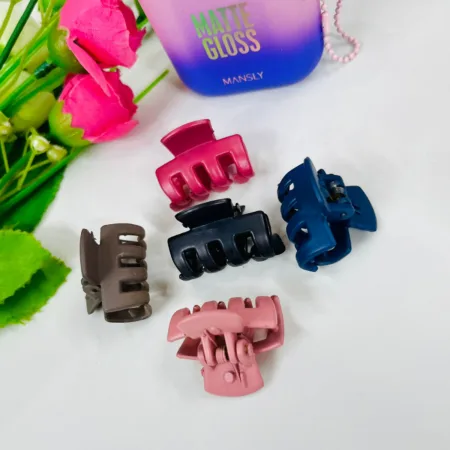 Beautiful Small Hair Clip (Pack Of 5) SR_9841