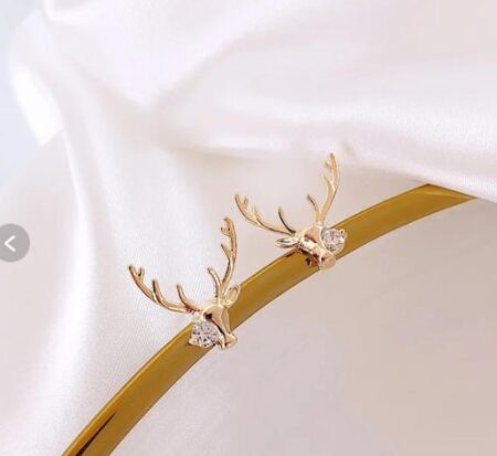 Beautiful Korean Earing SR_11513