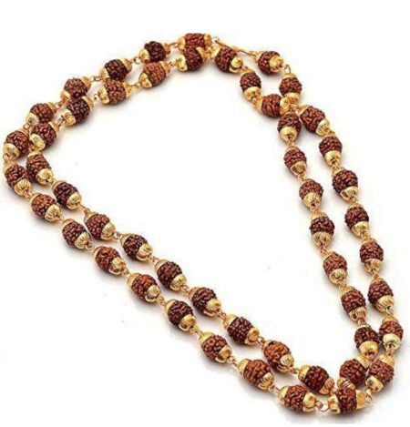 Beautiful Rudraksha Chain for Men, Natural Rudraksh Mala ( 27 Inch) SR_11553