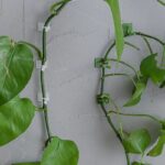 WhatsApp Image 2024-05-20 at 12.29.41 PM