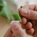 WhatsApp Image 2024-05-20 at 12.29.41 PM