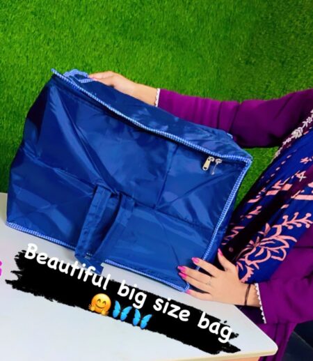 Beautiful Big Size Saree Bag SR_18939