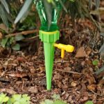 WhatsApp Image 2024-07-13 at 10.07.26 AM (1)