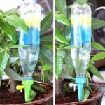 WhatsApp Image 2024-07-13 at 10.07.26 AM (1)