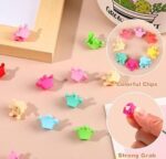 WhatsApp Image 2024-07-28 at 1.31.50 PM (1)