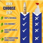 WhatsApp Image 2025-02-26 at 09.50.42_834acc14