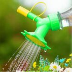 WhatsApp Image 2025-03-04 at 11.31.20_02fa9d3a