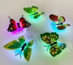 WhatsApp Image 2025-04-01 at 11.38.19_707667a4