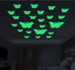 WhatsApp Image 2025-05-08 at 13.32.25_da6ad3d7