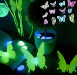 WhatsApp Image 2025-05-08 at 13.32.25_da6ad3d7