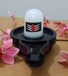 WhatsApp Image 2025-06-27 at 11.13.02_283d893e