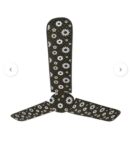 WhatsApp Image 2025-08-30 at 12.11.56_e8fc5940