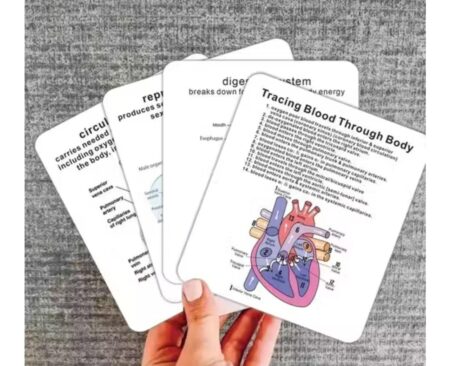 Human Body System Anatomy 30 Card,  Medical & Nursing Learning Guide with Rings, Portable Learning Card for Students, Gift for Students, Square Nursing Flashcards SR_45112