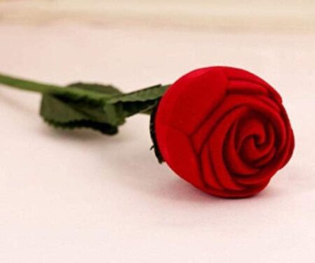 Ring Ceremony Rings Box Perfect Wedding Gift for Couples Ring Holder SR_7787