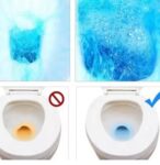 WhatsApp Image 2026-01-22 at 17.07.30