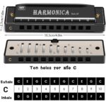 WhatsApp Image 2026-04-01 at 10.13.06