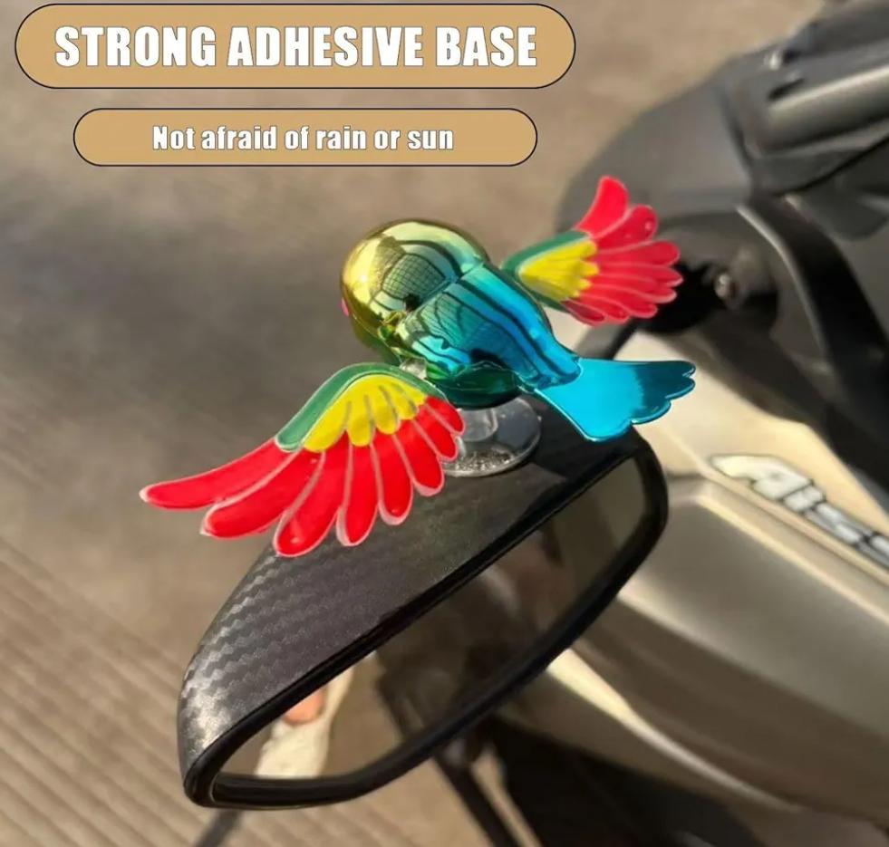 WhatsApp Image 2026-04-07 at 13.01.28