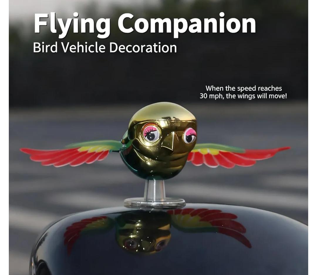 WhatsApp Image 2026-04-07 at 13.01.45