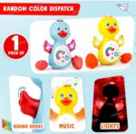 WhatsApp Image 2026-04-10 at 11.24.22