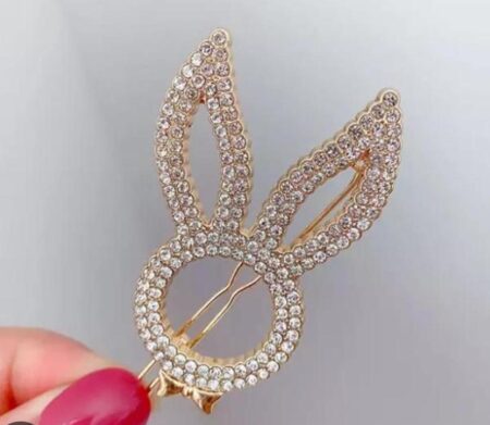 Hair Clip Party Tool Hair Accessory for Girls/Kids and Women 2 PC SR_68562