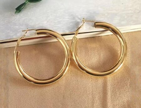 Stainless Steel Gold-Plated Circular Shaped Hoop Earrings SR_68695