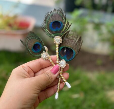 Peacock feather Tilak stick Pack of 2 SR_4454